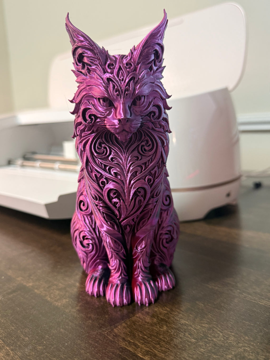 3d Maincoon cat
