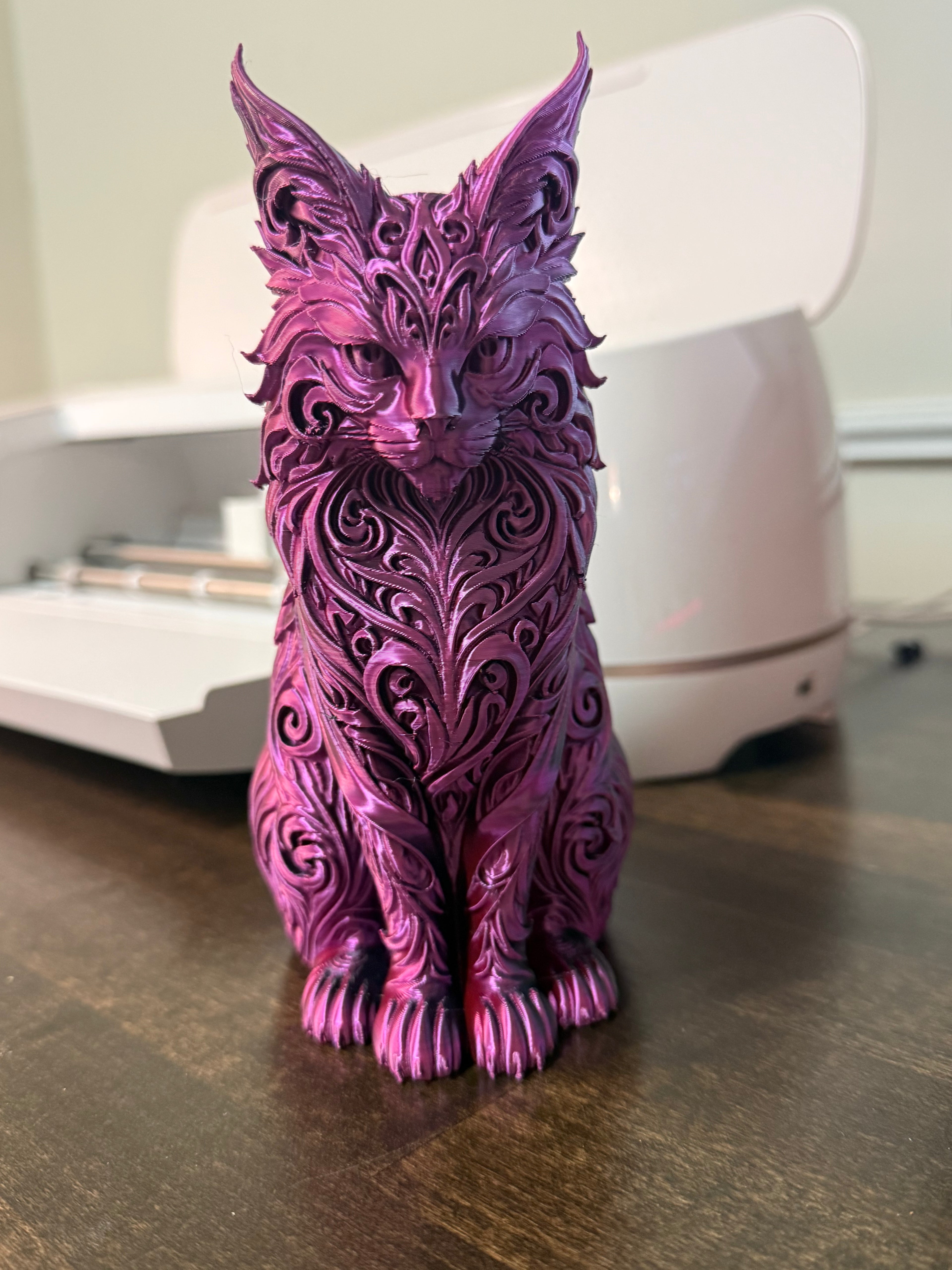 3d Maincoon cat