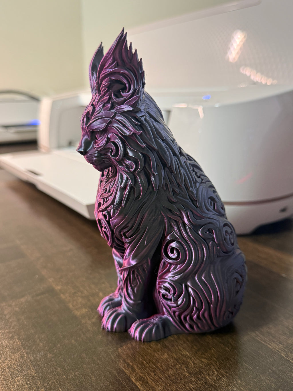 3d Maincoon cat